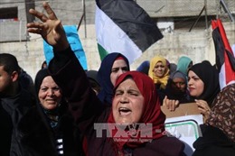 Hàng nghìn người Palestine biểu tình tại biên giới Gaza